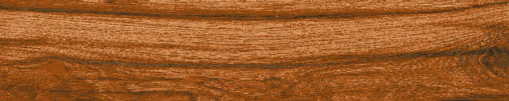 Matte Finish AMERICAN WALNUT Porcelain 200x1000mm